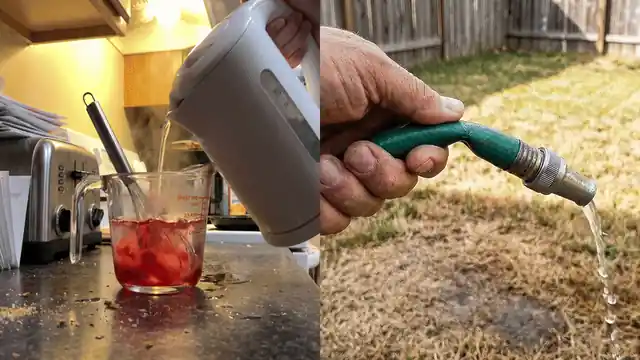 Watch the presentation